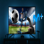 Movistar Plus+ adopta la estrategia de Netflix: no se trata de un error, sino de una limitación intencional en el empleo para segundas viviendas.