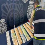 España detiene a 34 sospechosos vinculados al cibercrimen de Black Axe.