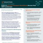 Implemente flujos de trabajo seguros de transporte en todo su entorno SAP.