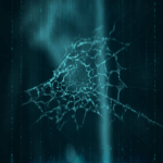 Sus datos personales están en la dark web. ¿Qué sucede a continuación?