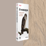 Libro: Ingeniería de IA. Construcción de aplicaciones mediante el uso de modelos base.