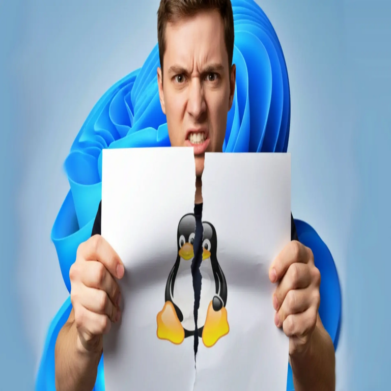 ¿Fin de las distribuciones? El cambio más trascendental en la historia de Linux podría estar más próximo de lo esperado