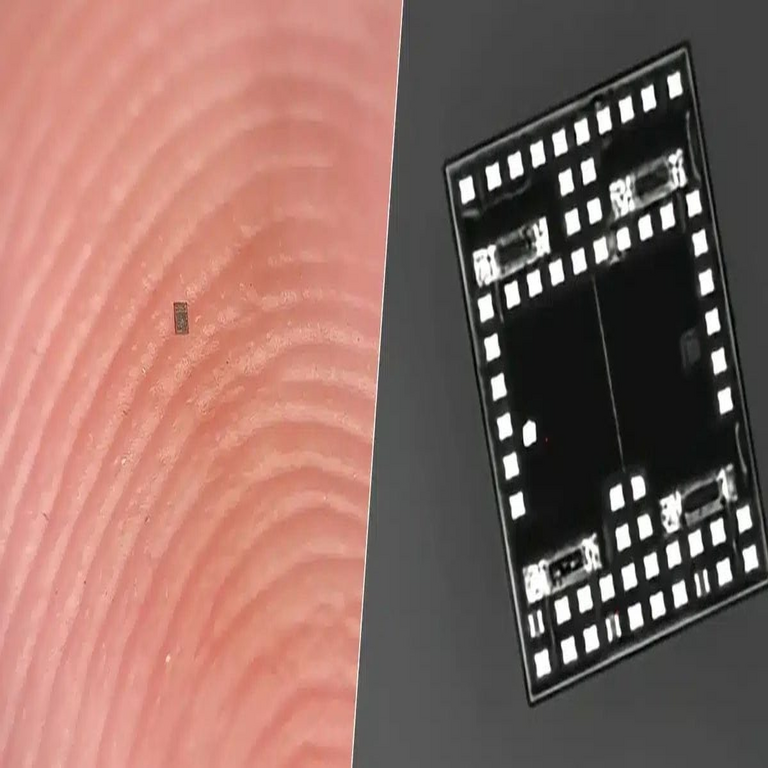 La Universidad de Pensilvania y la de Michigan desarrollan un robot microscópico autónomo equipado con un cerebro integrado completo. La Universidad de Pensilvania y la de Michigan desarrollan un robot microscópico autónomo equipado con un cerebro integrado completo.