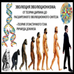 La evolución de la teoría de la evolución: neodarwinismo, teoría sintética de la evolución, epigenética. ¿Ha quedado obsoleta la teoría de Darwin?