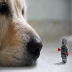 ¿Robots en el centro de datos? ¿Qué se les confía y a qué áreas no se les permite acceder?