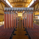 AWS adquiere la tecnología Nuton de extracción de cobre de Rio Tinto con el objetivo de minimizar su huella de carbono.