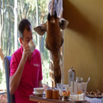 Alberto Gutiérrez, vallisoletano que se convertirá en el cuarto español en realizar un viaje espacial.