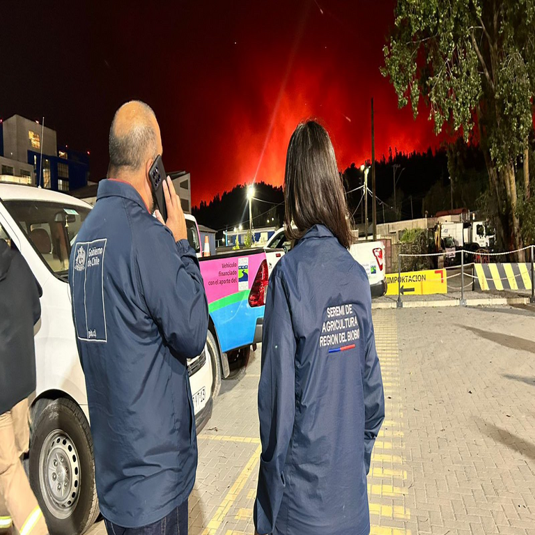 Chile: Subtel y operadores implementan planes de contingencia frente a los incendios en Ñuble y Biobío.