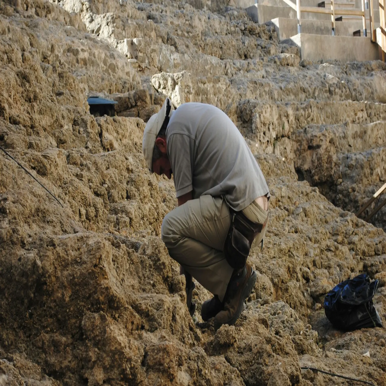 Un estudiante localiza un fragmento de resina fosilizada y revela rutas comerciales ocultas que atravesaron Europa hace 5.400 años.