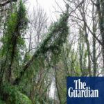 Cornualles carece de suficiente resiliencia: las localidades enfrentan dificultades con la interrupción del servicio de banda ancha tras la tormenta Goretti