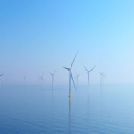 La instalación de turbinas eólicas en el fondo marino para la generación de energía produce un efecto secundario imprevisto que nadie anticipaba.