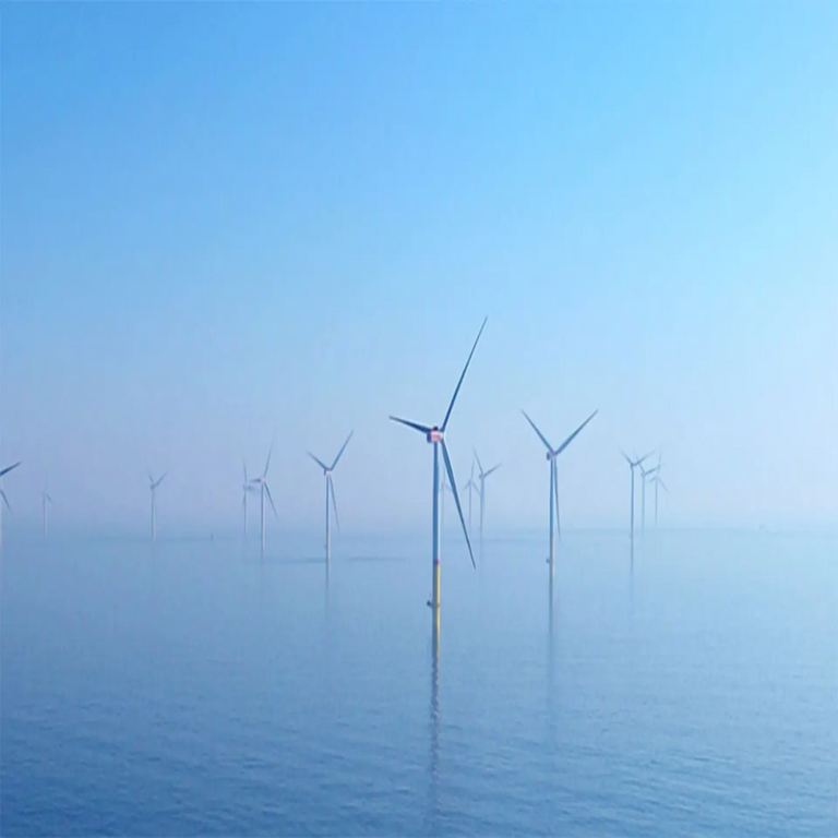 La instalación de turbinas eólicas en el fondo marino para la generación de energía produce un efecto secundario imprevisto que nadie anticipaba.