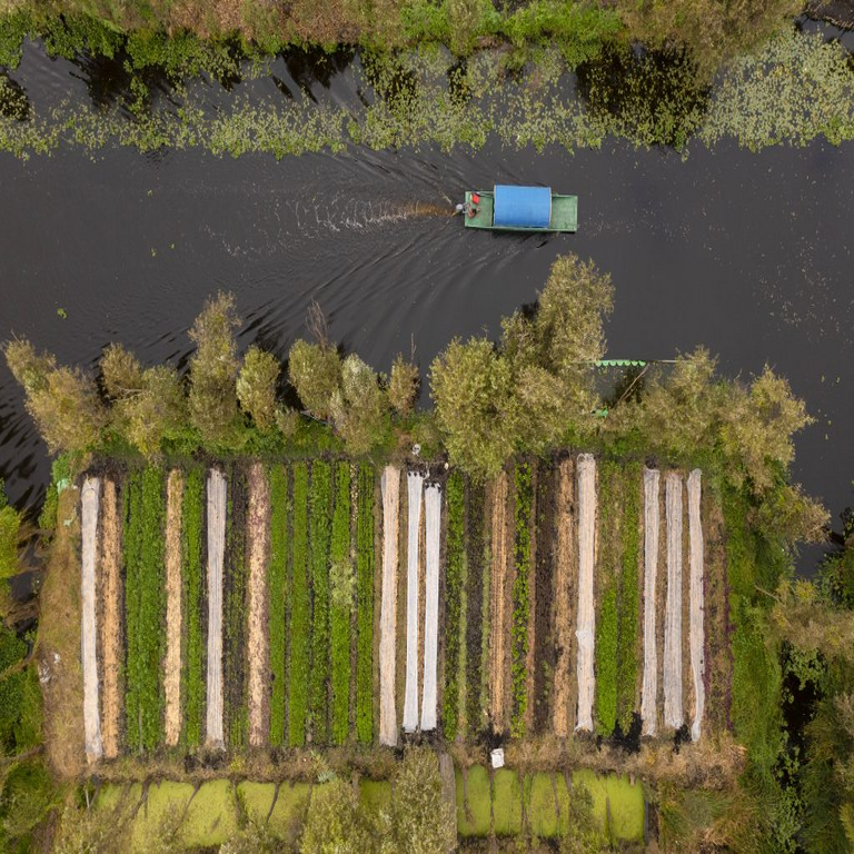 Más allá de la innovación tecnológica: Sonos impulsa la preservación de las chinampas en Xochimilco