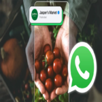 WhatsApp implementará un servicio de suscripción en Europa para eliminar anuncios en Estados y Canales.