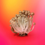 Escenarios principales de ciberataques que involucran la suplantación de identidad de marcas.