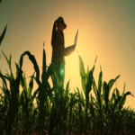 El impacto de la tecnología de aplicación, la inteligencia artificial y la siembra de precisión en la agricultura paraguaya