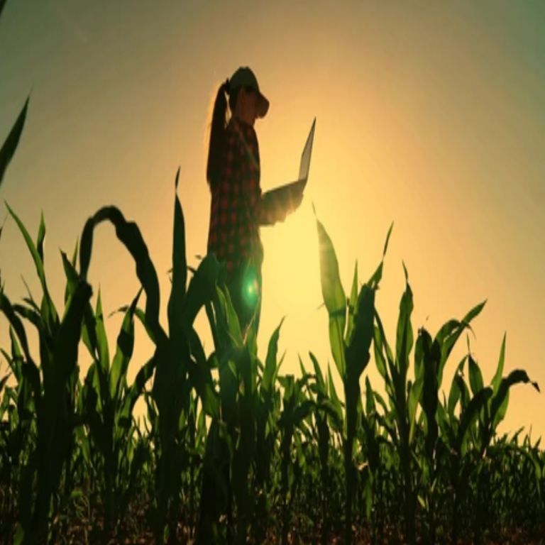 El impacto de la tecnología de aplicación, la inteligencia artificial y la siembra de precisión en la agricultura paraguaya