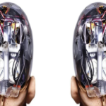 La Universidad de Hong Kong cuestiona décadas de investigaciones sobre el miedo en neurociencia mediante inteligencia artificial.