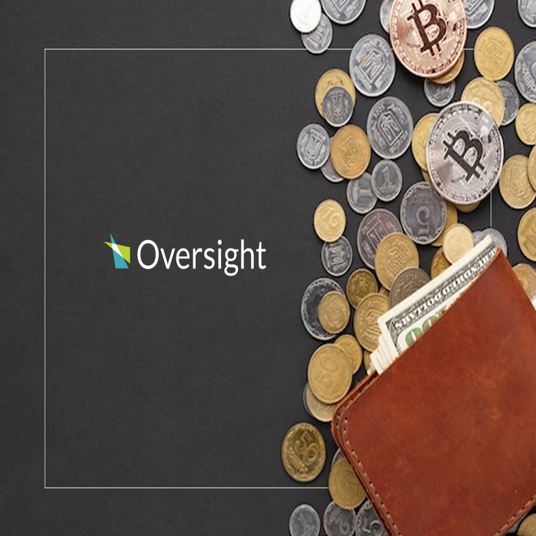 Oversight es reconocido como pionero en la categoría emergente de inteligencia de riesgos financieros, según el Grupo Everest.