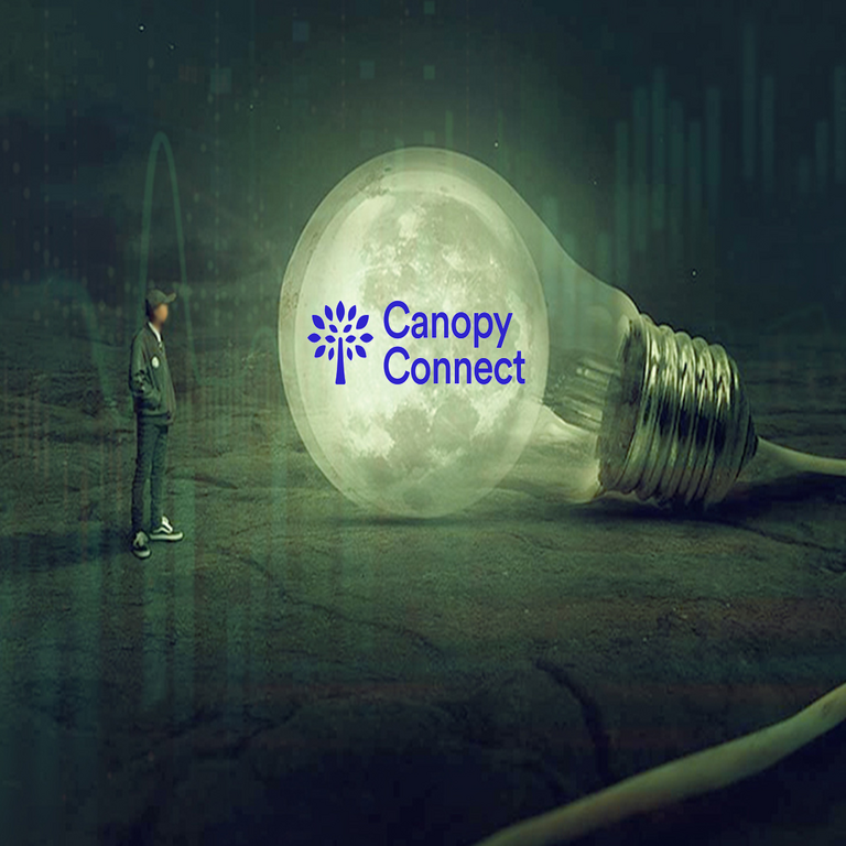 Canopy Connect e Holistiplan anuncian su integración para automatizar la planificación de seguros.