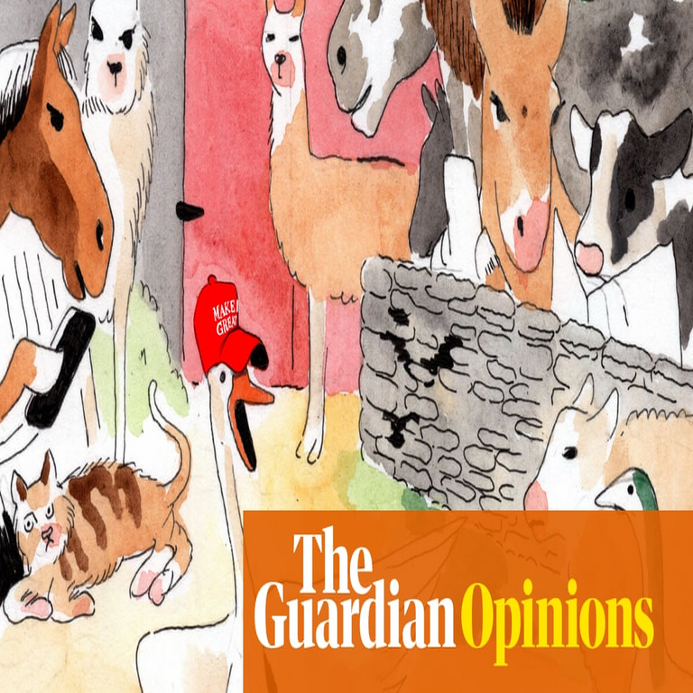 El triunfo de la derecha en internet | Robert Topinka