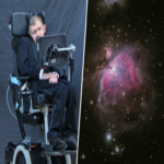 Dudo que la humanidad perdure en los próximos mil años: la perturbadora previsión de Stephen Hawking acerca de nuestro destino