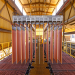 Los microorganismos podrían extraer los metales esenciales para la tecnología limpia. Los microorganismos podrían extraer los metales esenciales para la tecnología limpia.