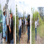 Guatemala | El MAGA, con el respaldo de la FAO, implementa tecnología avanzada para el monitoreo de la humedad del suelo