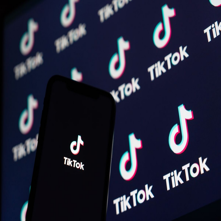 El diseño adictivo de TikTok viola la Ley de Servicios Digitales de la Unión Europea.