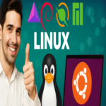 Especialista en Linux evalúa todas las distribuciones y selecciona sin vacilaciones la mejor, afirmando haber utilizado incluso aquellas que ya no existen.