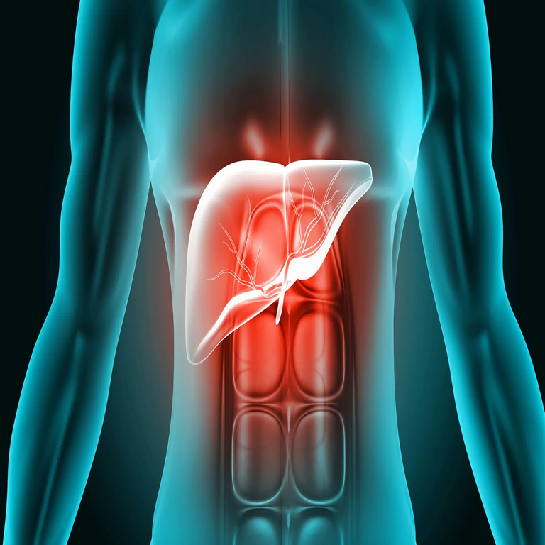 Desarrollan un páncreas artificial vivo que podría eliminar la necesidad de inyecciones de insulina.