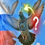 Rusia planea implementar chips electrónicos para transformar palomas en drones biológicos operativos.