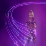 La Anatel autoriza el plan de Vivo Brasil para rectificar irregularidades en sus ofertas de banda ancha fija.