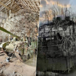 Rusia cuenta con un tanque de diseño tan inusual que podría interpretarse como una parodia, y lo más notable es que los drones ucranianos enfrentan dificultades para identificarlo o neutralizarlo.