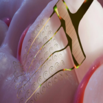 Investigadores chinos crean un microelectrodo flexible y extensible capaz de adaptarse de manera dinámica a los movimientos del cerebro.