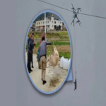 Un agricultor chino emplea drones para el transporte de porcinos, lo que genera un corte de suministro eléctrico que deja a la localidad sin iluminación durante diez horas.