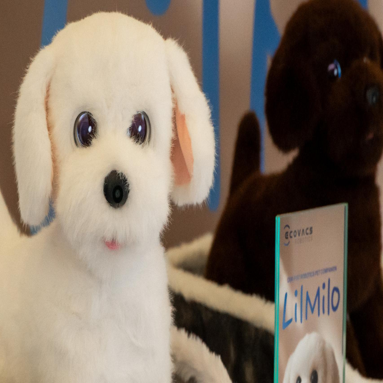 Las mascotas impulsadas por inteligencia artificial ya se encuentran disponibles: la tendencia china para combatir la soledad que se expandirá en Europa y plantea un desafío significativo a la privacidad.