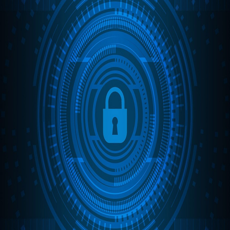 Diez prácticas cotidianas que potenciarán tu protección en la red.