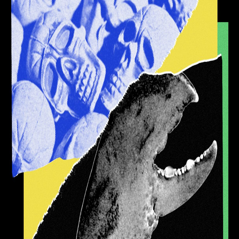 Código del Futuro: La Luna, el código espectral, la insurrección de los agentes y la paradoja de la eficiencia Código del Futuro: La Luna, el código espectral, la insurrección de los agentes y la paradoja de la eficiencia