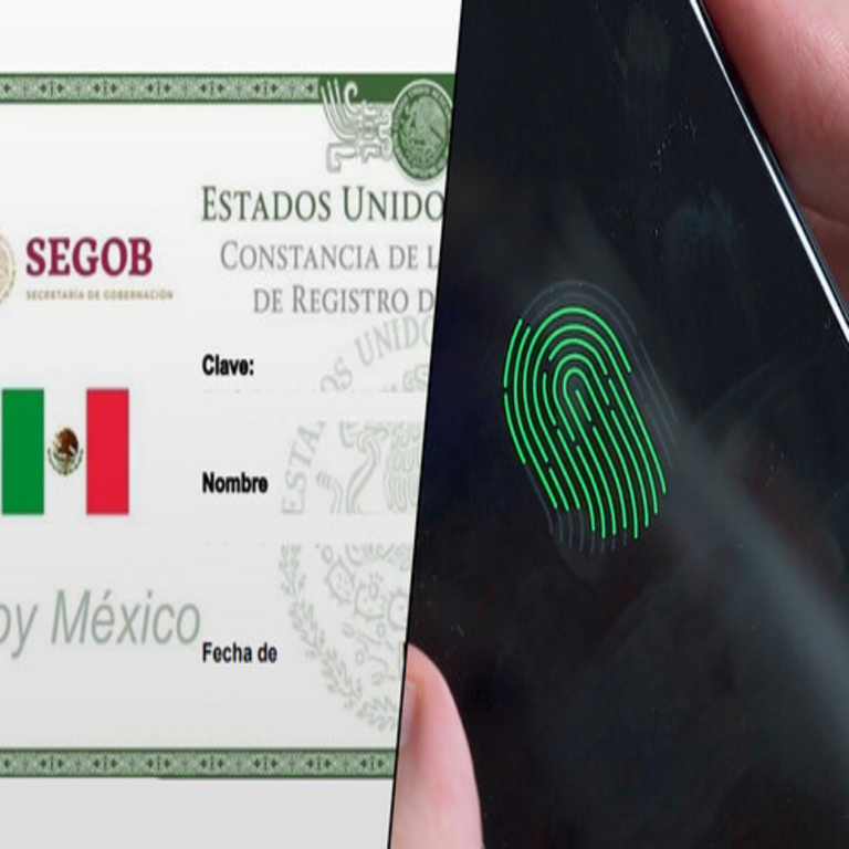 En México, la CURP biométrica resulta obligatoria: funcionamiento del nuevo documento que captura la huella dactilar y el iris de los ciudadanos. En México, la CURP biométrica resulta obligatoria: funcionamiento del nuevo documento que captura la huella dactilar y el iris de los ciudadanos.