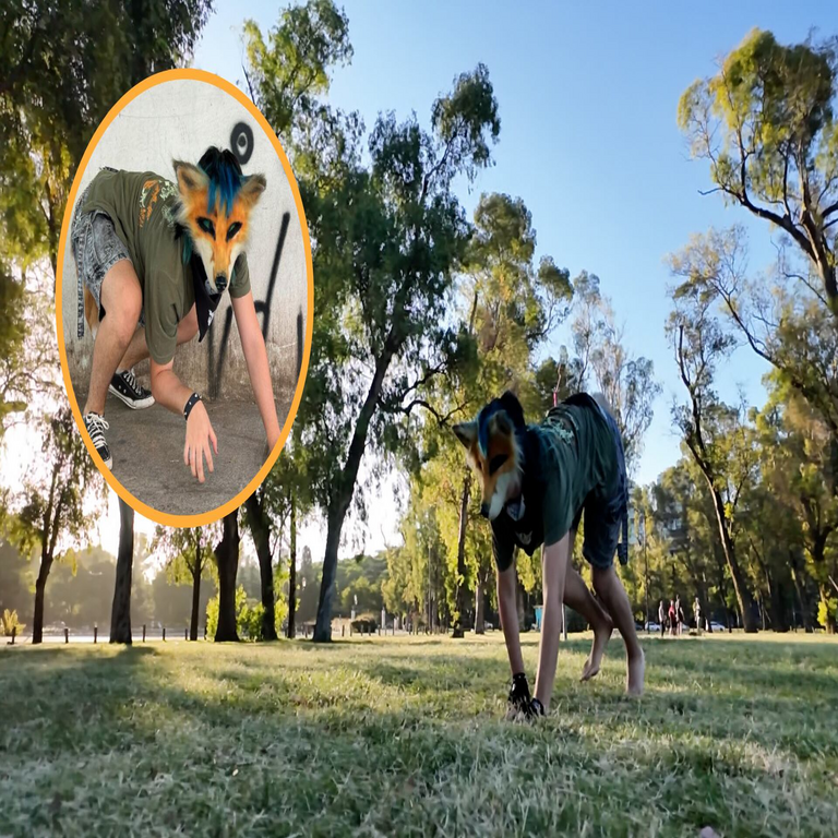 Los factores subyacentes a la viralidad de los ‘therian’: identidad, redes sociales y controversia juvenil