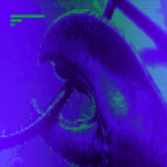 OneClaw: Descubrimiento y observabilidad para la era agéntica