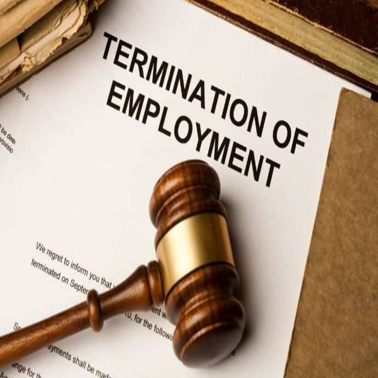 La Comisión de Trabajo Justo se ve abrumada por las presentaciones generadas por inteligencia artificial. La Comisión de Trabajo Justo se ve abrumada por las presentaciones generadas por inteligencia artificial.