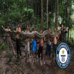 En Indonesia se ha rescatado y descubierto la serpiente salvaje de mayor longitud registrada en el mundo, con un rescatista afirmando que nunca había observado un ejemplar de tales dimensiones.