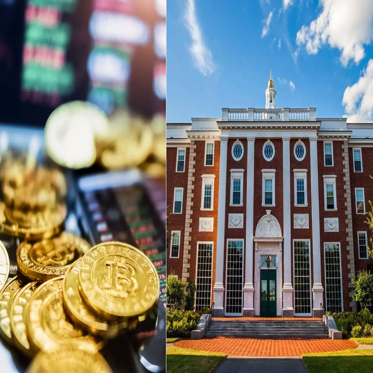 La Universidad de Harvard disminuye su inversión en Bitcoin y opta por una criptomoneda emergente.