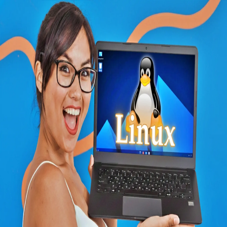 Especialista en Linux, tras evaluar todas las distribuciones disponibles en el mercado, elige sus seis favoritas para 2026, afirmando que desplazarán a la competencia tradicional.