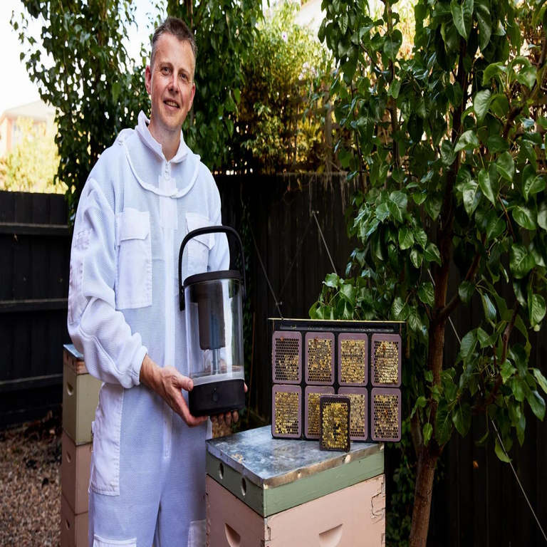 La invención de Simon que transforma a cualquier persona en apicultor: atiende a las abejas y recolecta miel en solo 5 minutos.