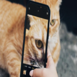 Inteligencia artificial genera un organismo sintético con capacidad visual operativa que asombra a la comunidad científica.