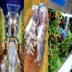 Observado en China: robots cosechadores de frutas y verduras que operan ininterrumpidamente durante 24 horas; el operador humano se limita a la supervisión.