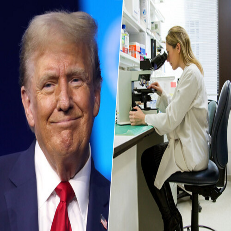 Estados Unidos ha reducido los programas de investigación y ciencia, mientras que Europa y España reclutan activamente a sus científicos.